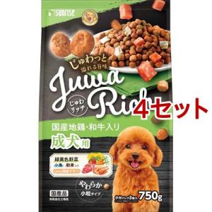 じゅわリッチ 黒毛和牛・地鶏入り 13歳以上用 ( 700g ) : 爽快ドラッグ