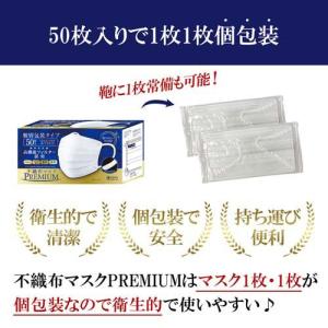 不織布マスクPREMIUM ふつうサイズ 個別...の詳細画像4