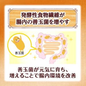 ケロッグ オールブラン ブランリッチ ( 25...の詳細画像4