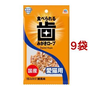 ドリーミーズ かつお味 ( 60g*36コセット )/ : 爽快ドラッグ - 通販