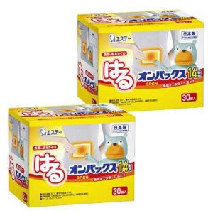 快温くん 貼るカイロ 快温くんプラス 鬼熱 レギュラー 10コ入×10個