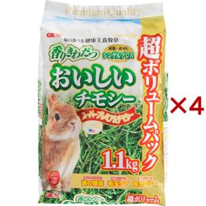 バニーセレクション ネザーランドドワーフ専用 ( 1.3kg
