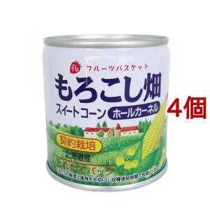 Arg-n. 30C 大 ( 約100粒 )/ ホメオパシージャパン : 爽快ドラッグ