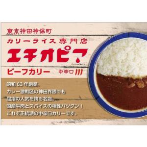 エチオピアビーフカリー ( 200g×4セット...の詳細画像1