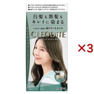 ISINIS イジニス クッションブラシ ミックス毛 33678064