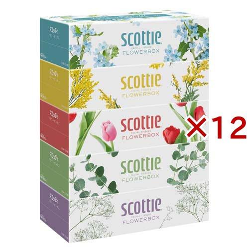 スコッティ ティシュー フラワーボックス ( 5箱パック×12セット(1箱500枚(250組)) )...
