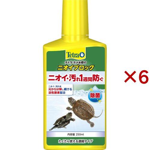 テトラ カメ水槽のニオイブロック ( 250ml×6セット )/ Tetra(テトラ)