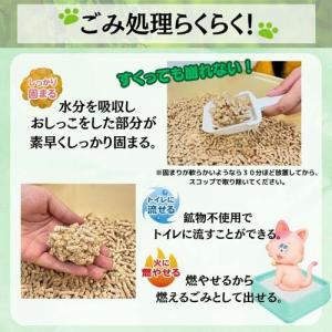 (猫砂楽園)猫砂楽園 森の香ダブル ( 14L...の詳細画像3