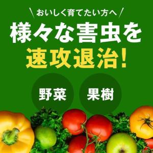 アースガーデン 園芸作物用 殺虫殺菌剤 野菜う...の詳細画像1