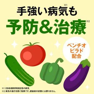 アースガーデン 園芸作物用 殺虫殺菌剤 野菜う...の詳細画像2