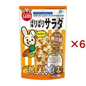 モルモットセレクション ( 3.5kg )/ セレクション(SELECTION) : 爽快