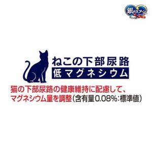 銀のスプーン 三ツ星グルメ 香るお魚仕立て 食...の詳細画像2