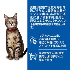 キャットフード 1〜6歳 サーモン パウチ (...の詳細画像1