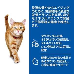 キャットフード 7歳以上 チキン パウチ ( ...の詳細画像1