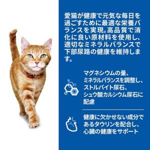 キャットフード 7歳以上 サーモン パウチ (...の詳細画像1