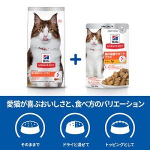 腸の健康サポート キャットフード 1歳以上 チ...の詳細画像3
