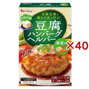 豆腐ハンバーグヘルパー 根菜入り ( 73g×40セット )｜soukai