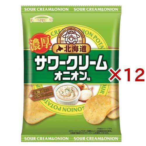 ポテトチップス 北海道サワークリームオニオン味 ( 47g×12セット )