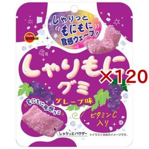 ブルボン しゃりもにグミ グレープ味 57g×10入 (グレープグミ お