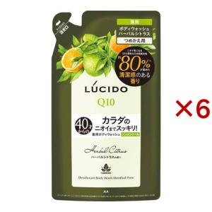 ともじーぬさん専用 LUCIDO デオドラントボディウォッシュ 760ml×2個 ともじーぬさん専用 LUCIDO デオドラントボディウォッシュ 760ml