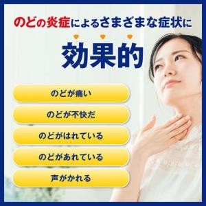大正製薬 ヴィックス メディケイテッドドロップ...の詳細画像1