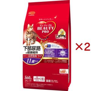 c/d マルチケア コンフォート フィッシュ入り 尿ケア 猫用 特別療法食