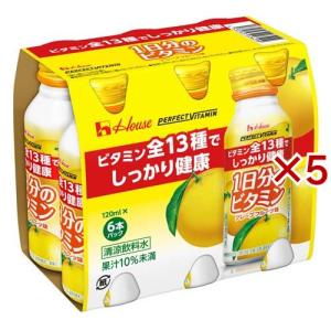 パーフェクトビタミン 1日分のビタミン グレープフルーツ味 ( 6本入×5セット(1本120ml) )/ 1日分のビタミン｜soukai