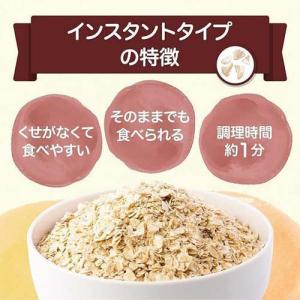 日食 プレミアムピュア オートミール インスタ...の詳細画像2