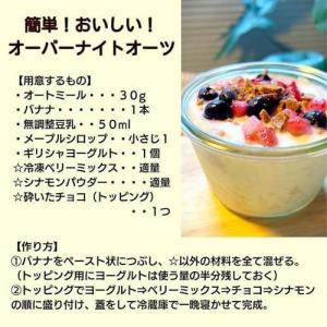 日食 プレミアムピュア オートミール インスタ...の詳細画像5