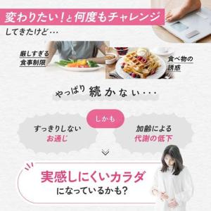 プレミアムカロリミット ( 120粒入×12セ...の詳細画像2