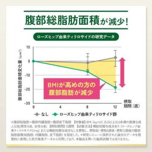 プレミアムカロリミット ( 120粒入×12セ...の詳細画像5