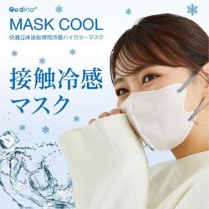 グディナ 快適立体接触瞬間冷感バイカラーマスク...の詳細画像1