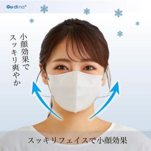 グディナ 快適立体接触瞬間冷感バイカラーマスク...の詳細画像2