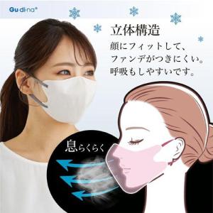 グディナ 快適立体接触瞬間冷感バイカラーマスク...の詳細画像4