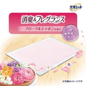デオシート 消臭&フレグランス フローラルシャ...の詳細画像1