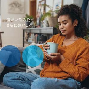 ブリタ マクストラプロ カートリッジ ホットド...の詳細画像1