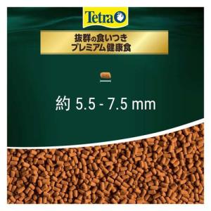 テトラ レプトミンスーパー中粒 ( 160g×...の詳細画像2