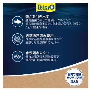 テトラ キリミン ベビー ( 28g×36セッ...の詳細画像2