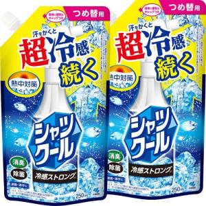 熱中対策 シャツクール 冷感ストロング スプレー 詰替パウチ ( 250ml×2セット )/ 熱中対策