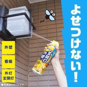 虫こないアース 玄関灯 外壁に 玄関 外灯 家...の詳細画像2
