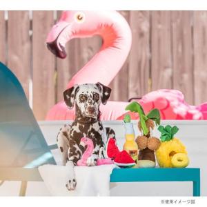 プレイ トロピカルパラダイスBOXセット ( ...の詳細画像2