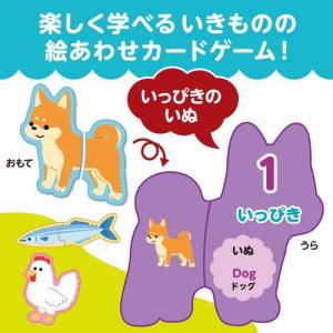 いきものえあわせカードゲーム ( 180セット )の詳細画像1