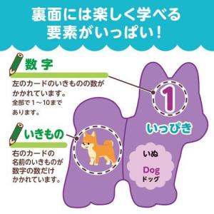 いきものえあわせカードゲーム ( 180セット )の詳細画像3