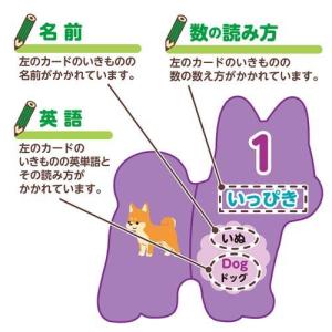 いきものえあわせカードゲーム ( 180セット )の詳細画像4