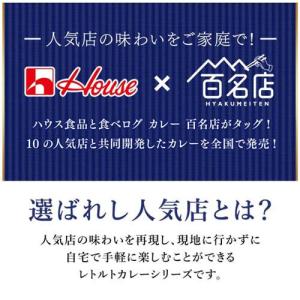 (訳あり)選ばれし人気店 芳醇チキンカレー (...の詳細画像2
