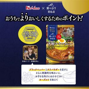 (訳あり)選ばれし人気店 芳醇チキンカレー (...の詳細画像4