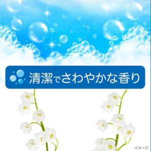 アリエール 洗濯洗剤 MiRAi 超濃縮コンパ...の詳細画像5