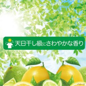 アリエール 洗濯洗剤 MiRAi 超濃縮コンパ...の詳細画像5