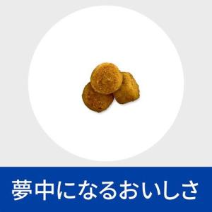 y/d オリジナル 甲状腺ケア 猫用 特別療法...の詳細画像4