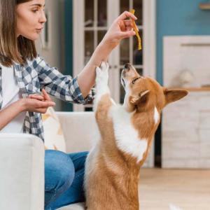 ドギーマン 無添加良品 アキレススティック (...の詳細画像3